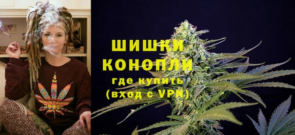 гидра Арсеньев