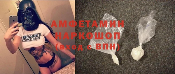 гидра Арсеньев
